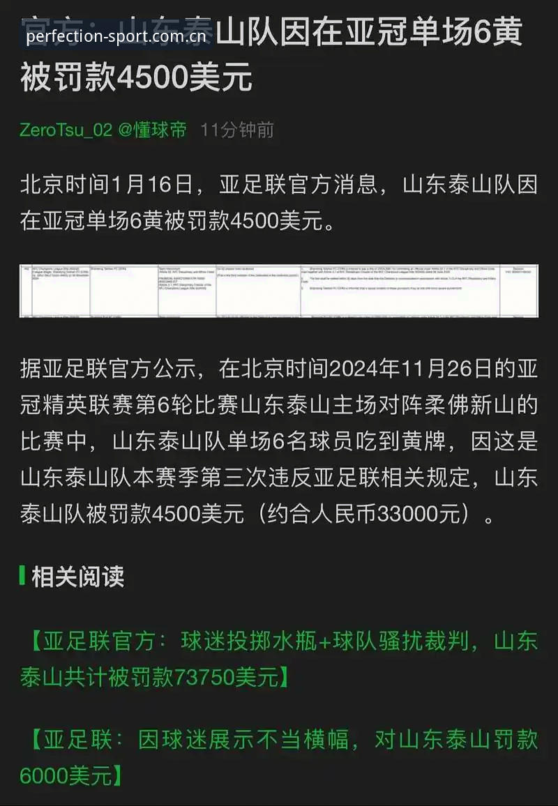 5大看点解读足协第三批禁足名单，完美体育平台深度分析65人处罚背后真相
